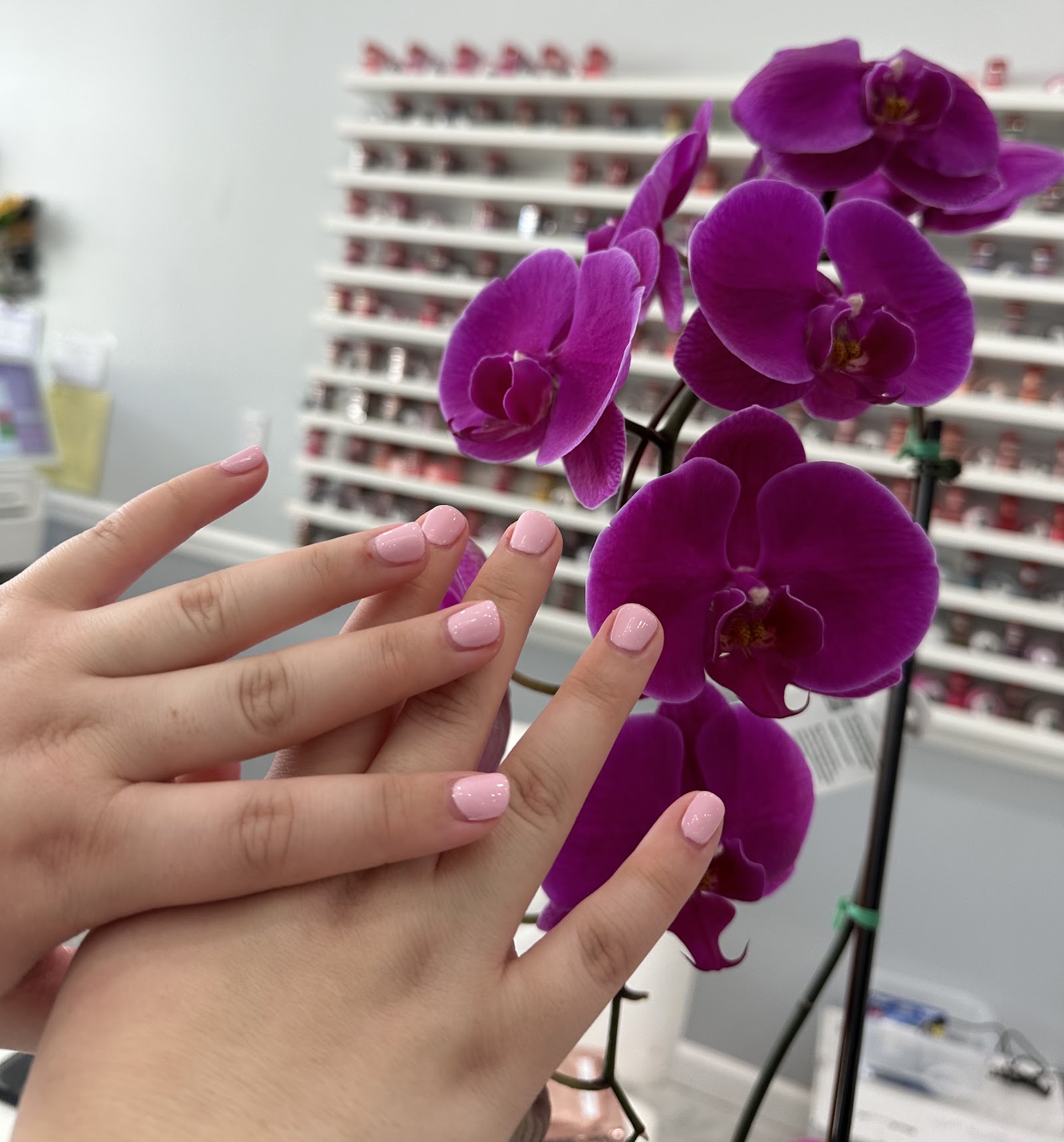 ROYAL NAILS logo
